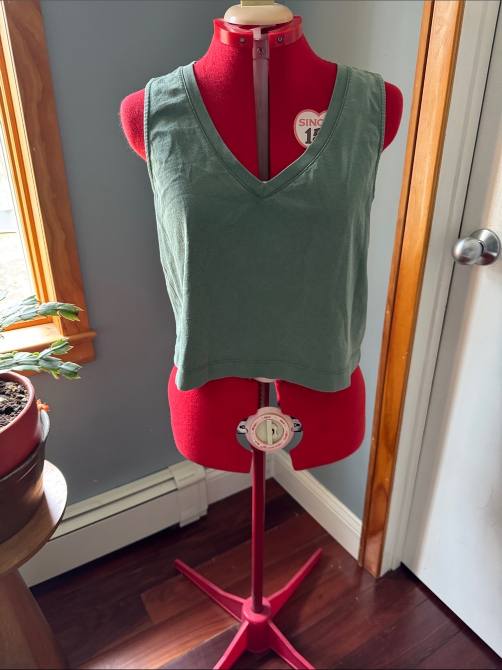 Z Supply Sage Green V-Neck Cropped Tank